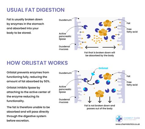how to get best results from orlistat|How Long Does Orlistat Take to Work.